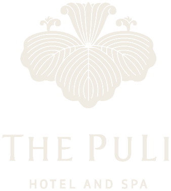 The Puli Hotel and Spa